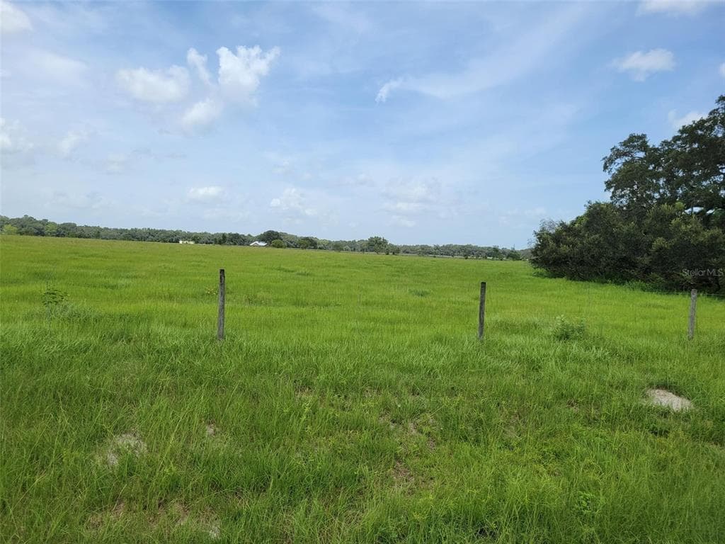EAST LEVY ST WILLISTON, FL 32696