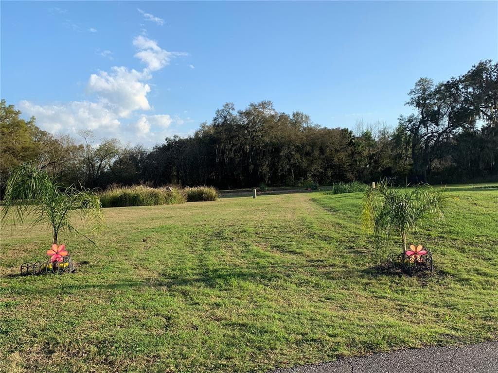 3017 BEAUTIFUL CREEK LANE PLANT CITY, FL 33565