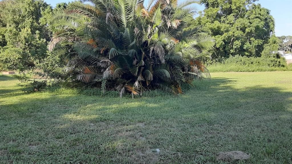 LAKECREST LANE TAVARES, FL 32778
