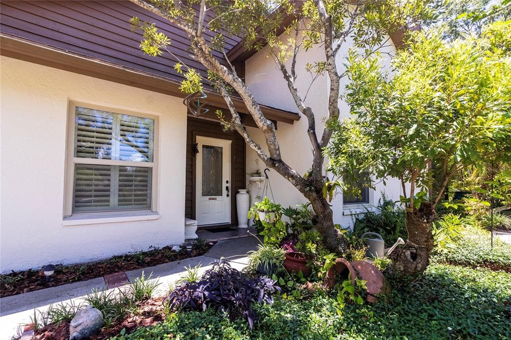 205 LIGHTHOUSE COURT SAFETY HARBOR, FL 34695
