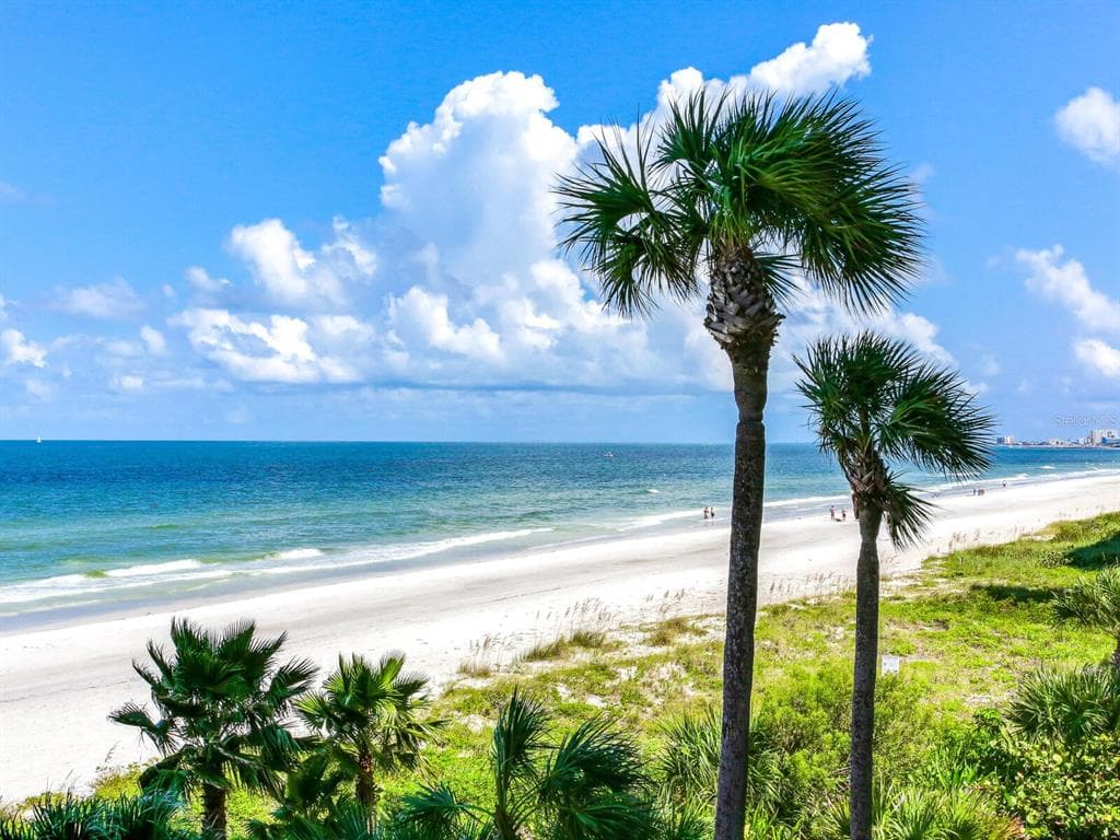 1600 GULF BOULEVARD UNIT 313 CLEARWATER, FL 33767