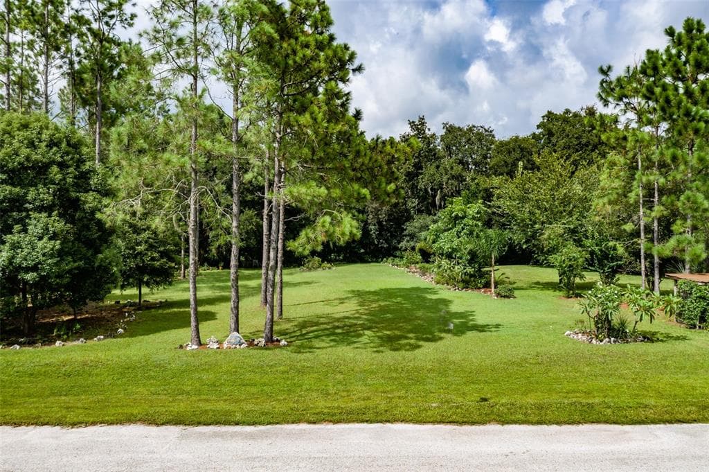 12806 SWEET MAGNOLIAS LANE DOVER, FL 33527