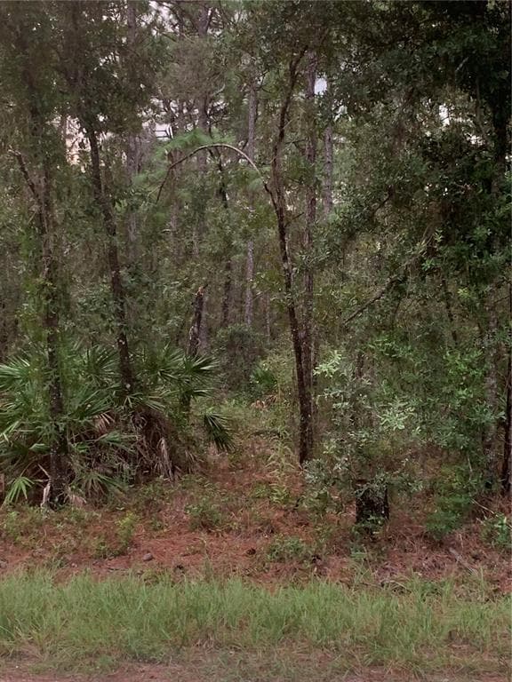 FLORIDA WREN AVENUE WEEKI WACHEE, FL 34614