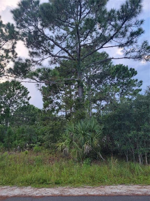 2960 FLAGSTAFF AVENUE SE PALM BAY, FL 32909