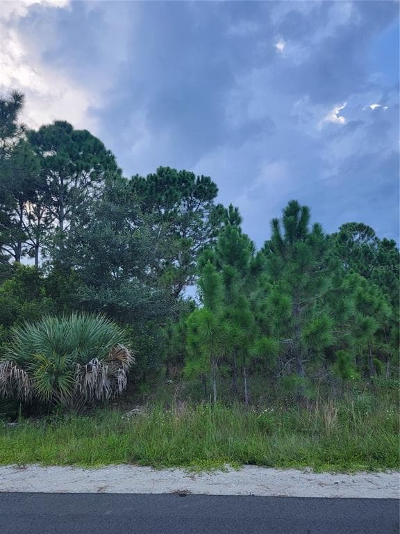2970 FLAGSTAFF AVENUE SE PALM BAY, FL 32909