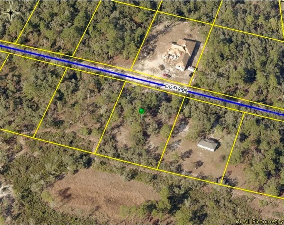 33224 EASTER DRIVE WEBSTER, FL 33597