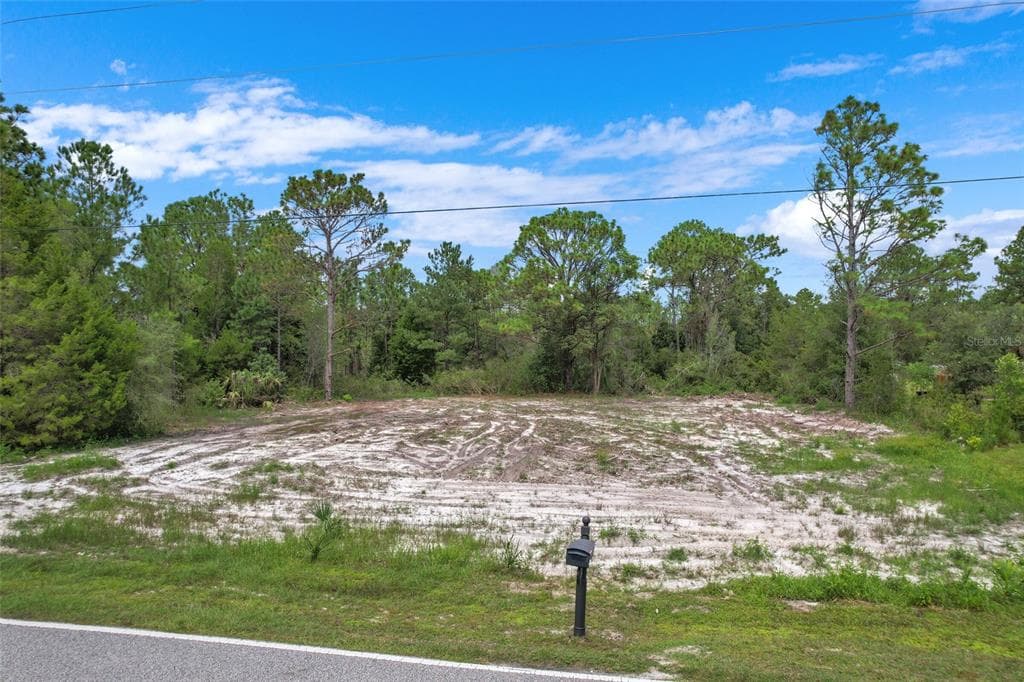 11039 FULTON AVENUE WEEKI WACHEE, FL 34613