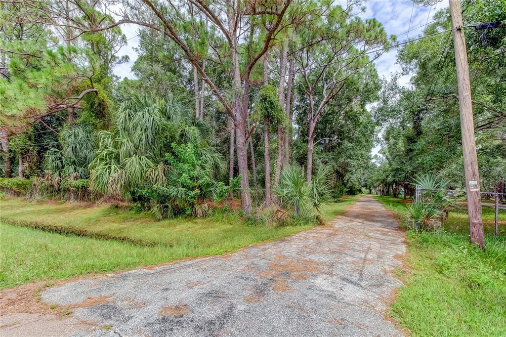 12133 STATE STREET TAMPA, FL 33635