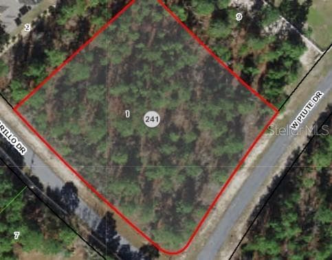 N AMARILLO DRIVE BEVERLY HILLS, FL 34465