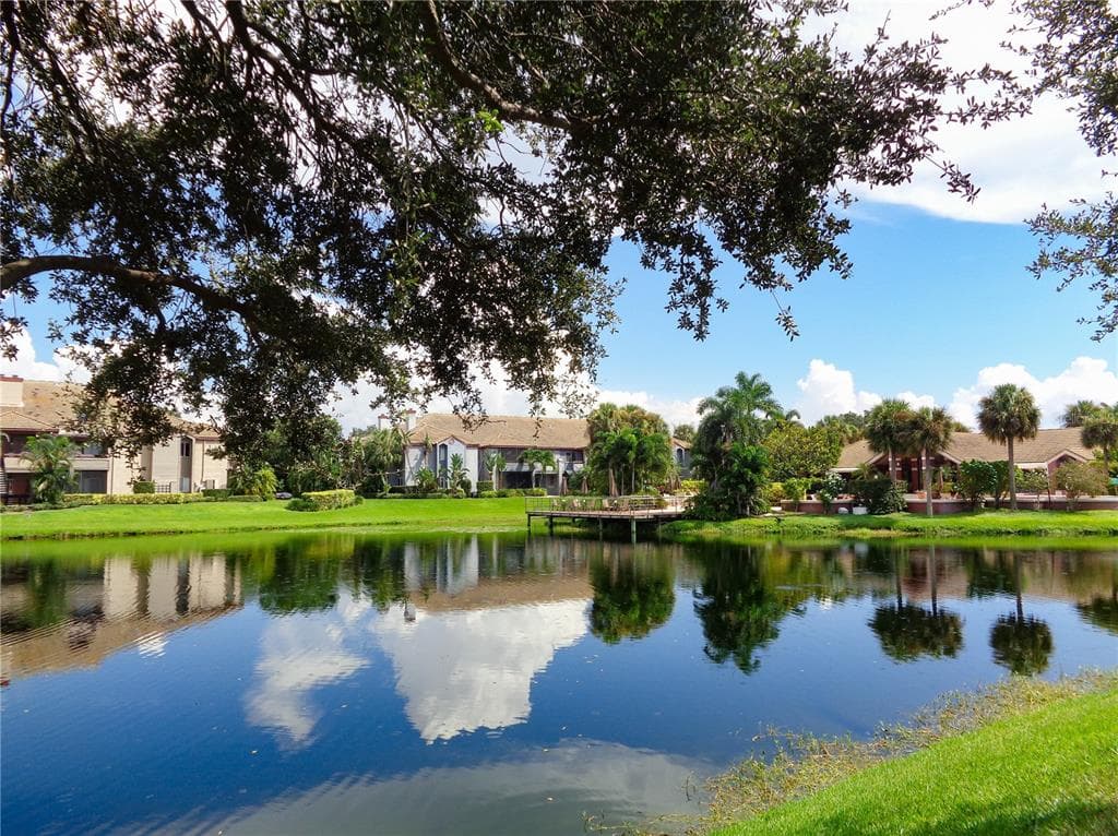10263 GANDY BOULEVARD N UNIT 2303 ST PETERSBURG, FL 33702