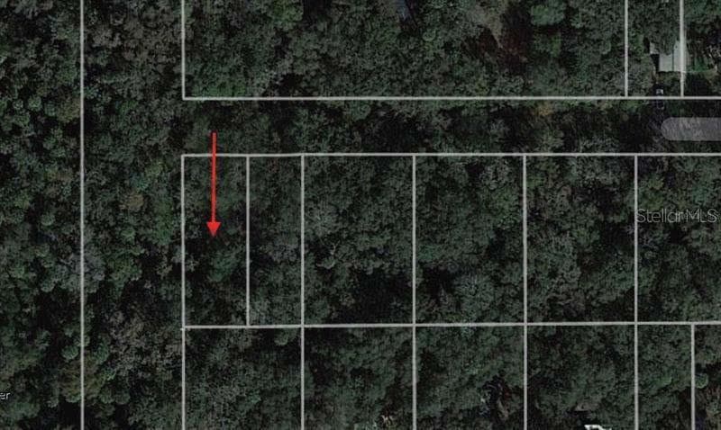 943 ESTELLE AVENUE BRANDON, FL 33511