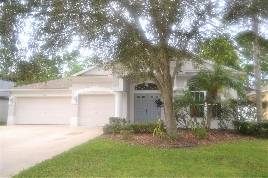 19012 FERN MEADOW LOOP LUTZ, FL 33558