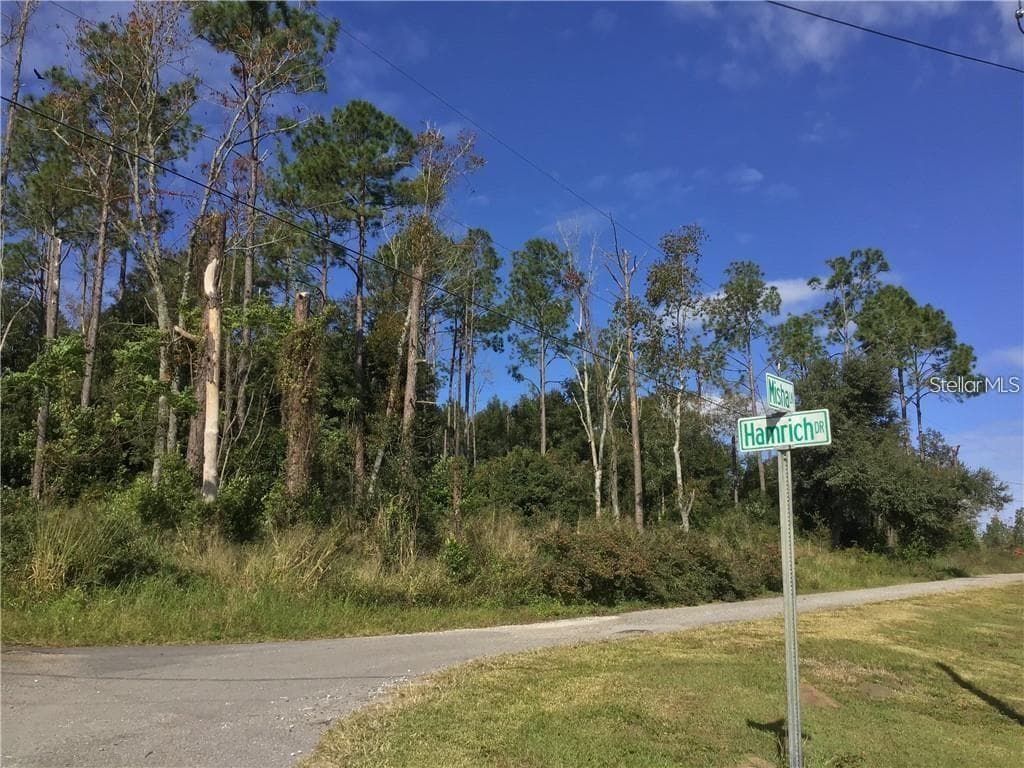 0 MISHA LANE DADE CITY, FL 33525