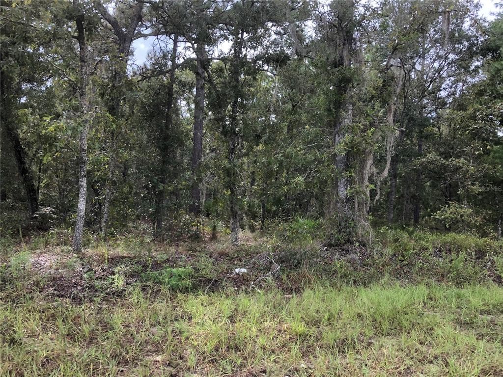 18315 MACEK WEEKI WACHEE, FL 34614