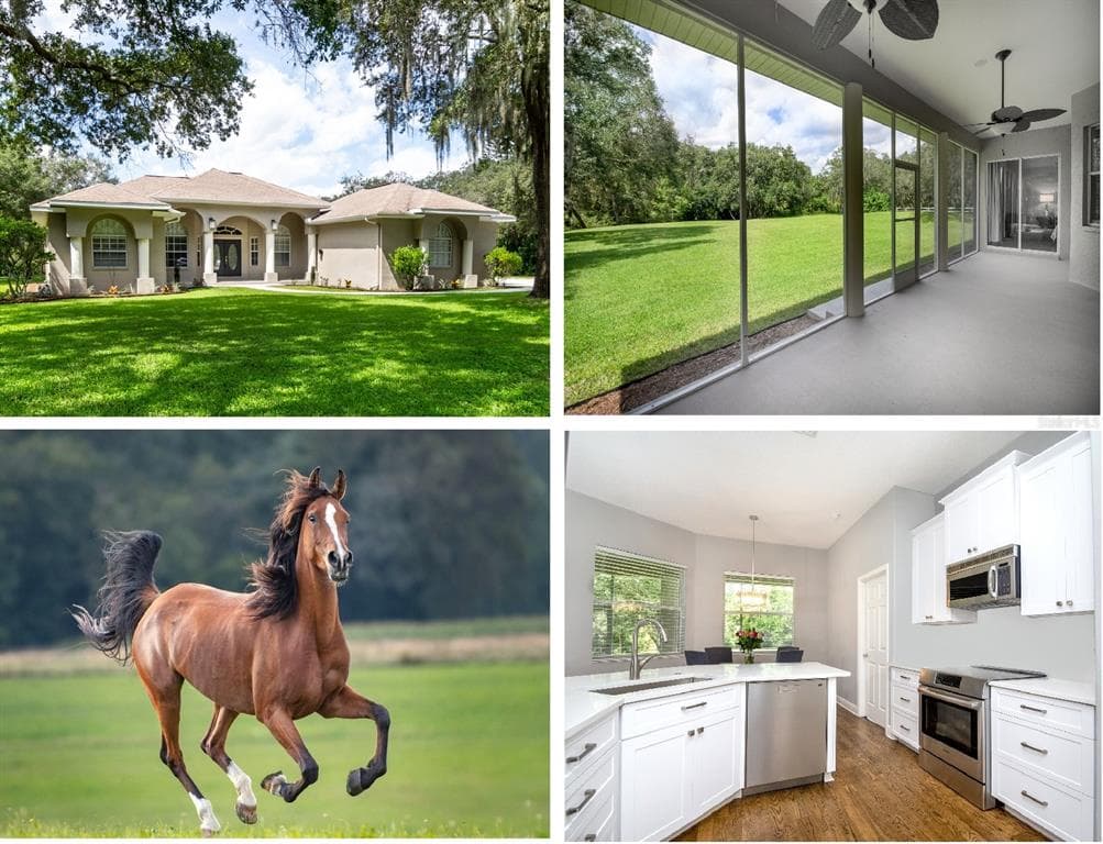 12410 TROTTER COURT TAMPA, FL 33626