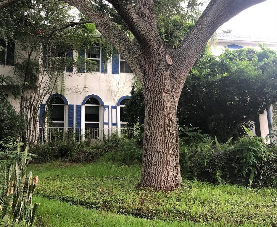 55 MARTINIQUE AVENUE TAMPA, FL 33606