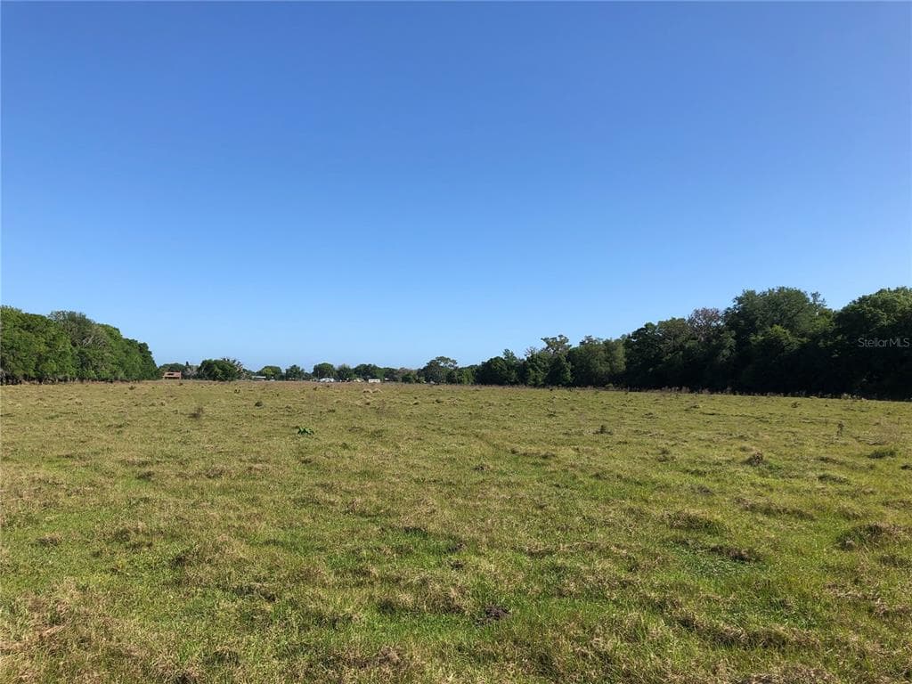 11963 BROWNING ROAD LITHIA, FL 33547