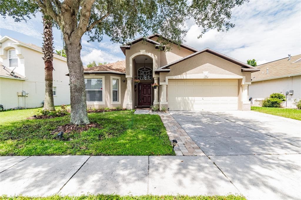 31239 CHATTERLY DRIVE WESLEY CHAPEL, FL 33543