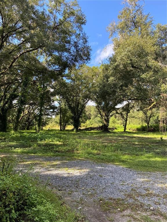 4805 W KNIGHTS GRIFFIN ROAD PLANT CITY, FL 33565