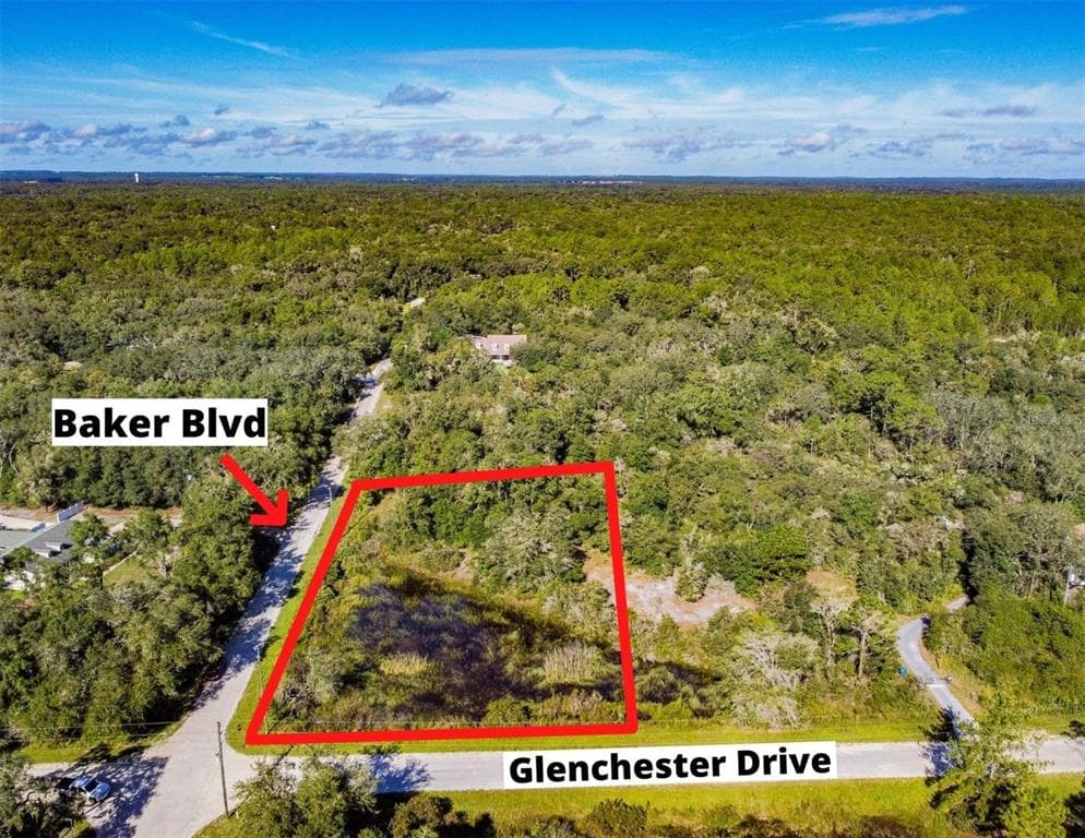 34471 BAKER BOULEVARD WEBSTER, FL 33597