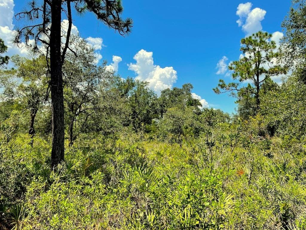 PANDORA DRIVE INDIAN LAKE ESTATES, FL 33855
