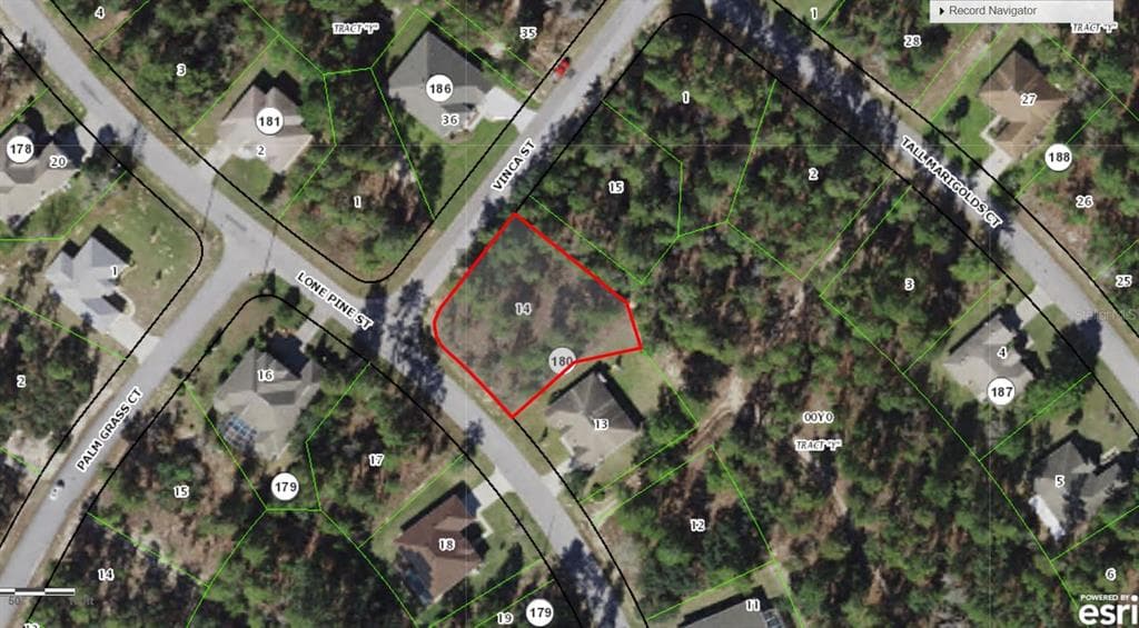 28 LONE PINE STREET HOMOSASSA, FL 34446