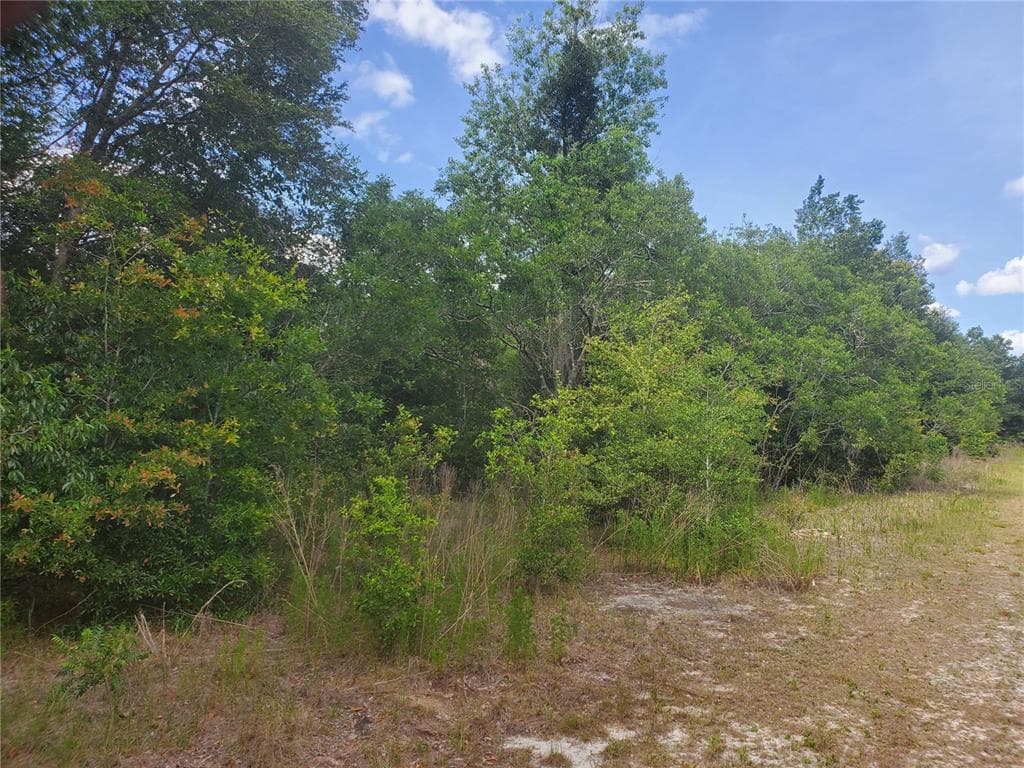 TBD ASH PASS RUN OCALA, FL 34472