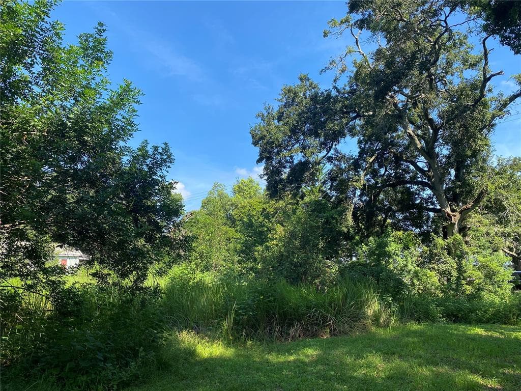 13707 WALDEN SHEFFIELD ROAD DOVER, FL 33527