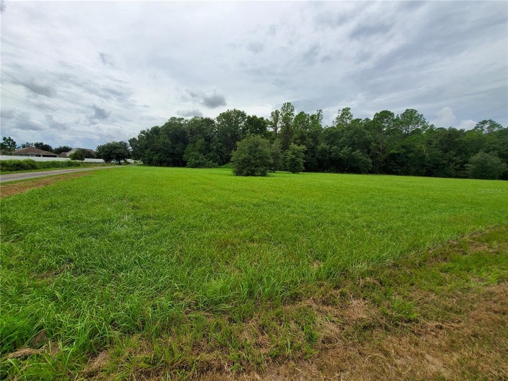 EILAND BOULEVARD ZEPHYRHILLS, FL 33541