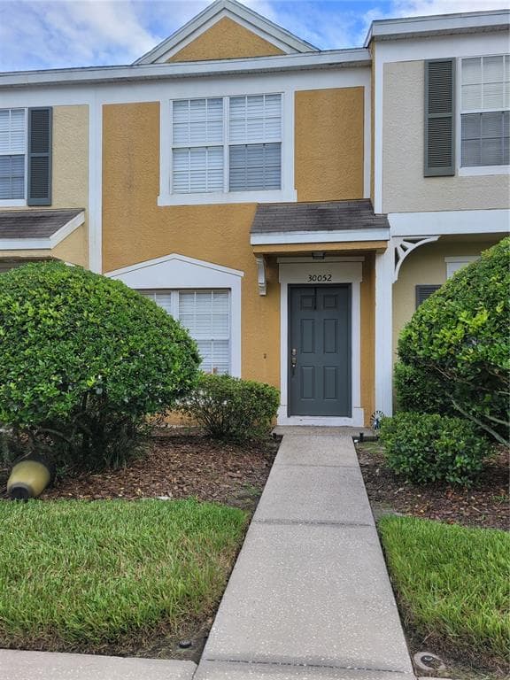 30052 GRANDA HILLS COURT WESLEY CHAPEL, FL 33543