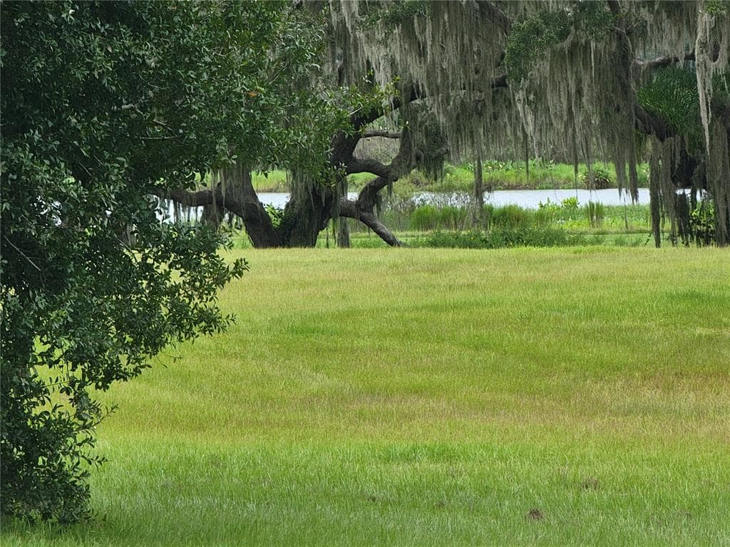 12322 STONELAKE RANCH LOT 78 BOULEVARD THONOTOSASSA, FL 33592