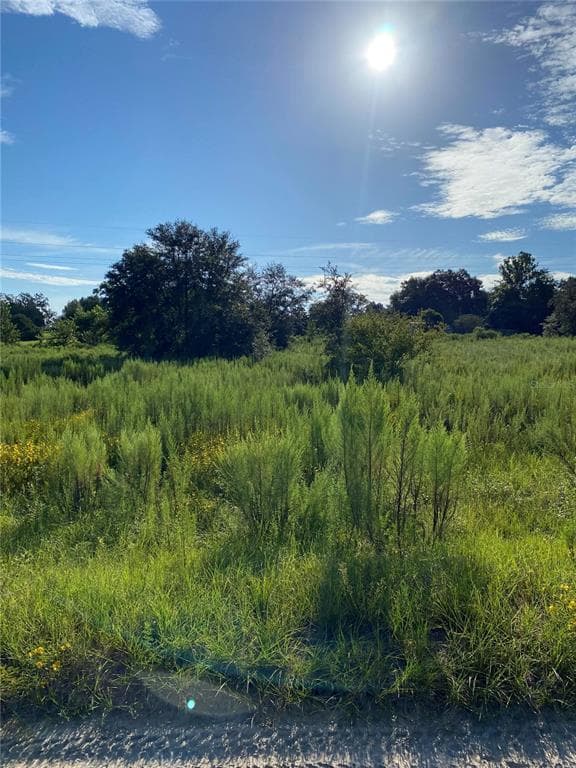 10029 S PARKSIDE AVENUE FLORAL CITY, FL 34436