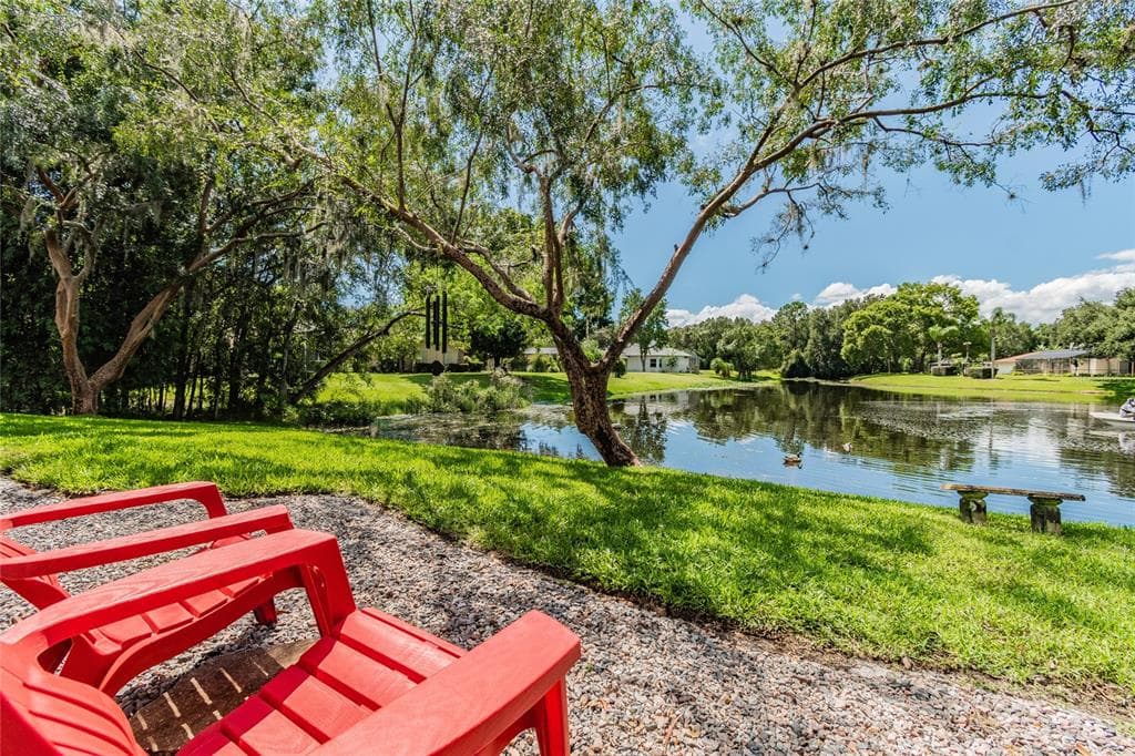3372 TARPON WOODS BOULEVARD PALM HARBOR, FL 34685