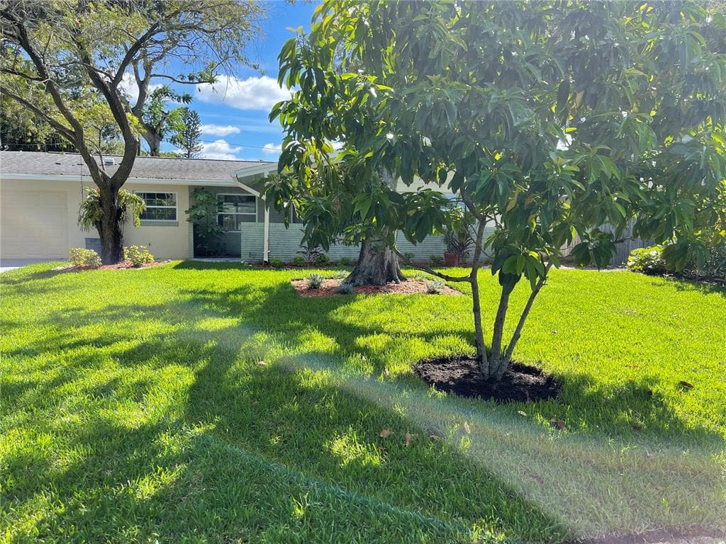 1517 LAKESIDE DRIVE DUNEDIN, FL 34698