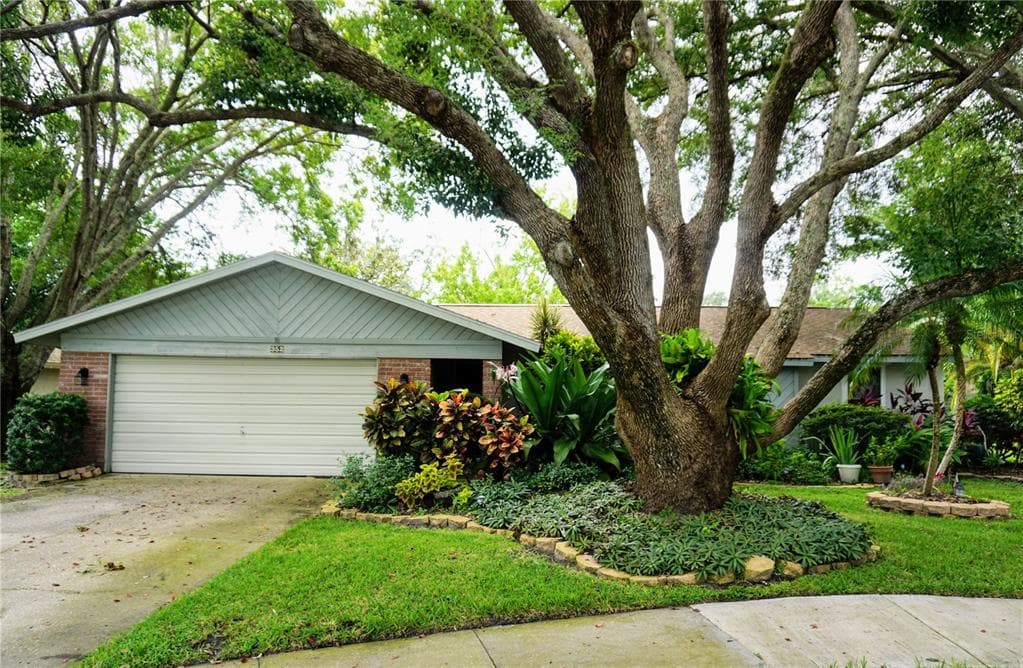 352 OAKHILL COURT PALM HARBOR, FL 34683