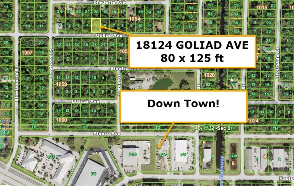 18124 GOLIAD AVENUE PORT CHARLOTTE, FL 33954