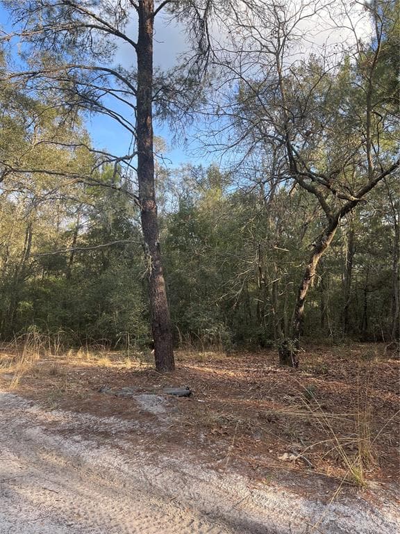 0 BALTIMORE ORANGE CITY, FL 32763