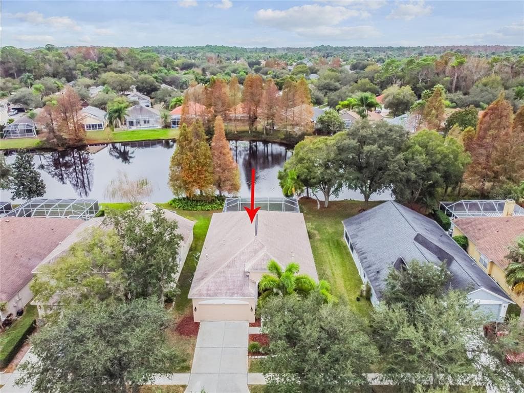 11818 EASTHAMPTON DRIVE TAMPA, FL 33626