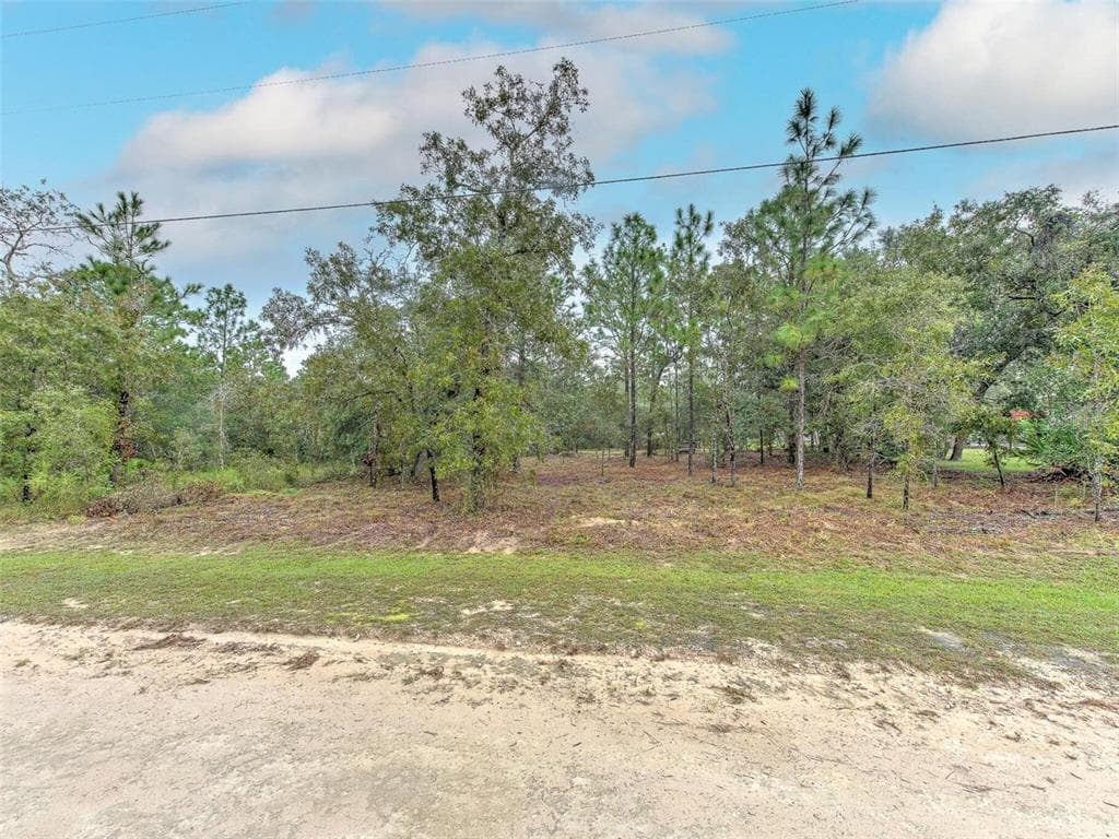12487 ROBIN AVENUE WEEKI WACHEE, FL 34614