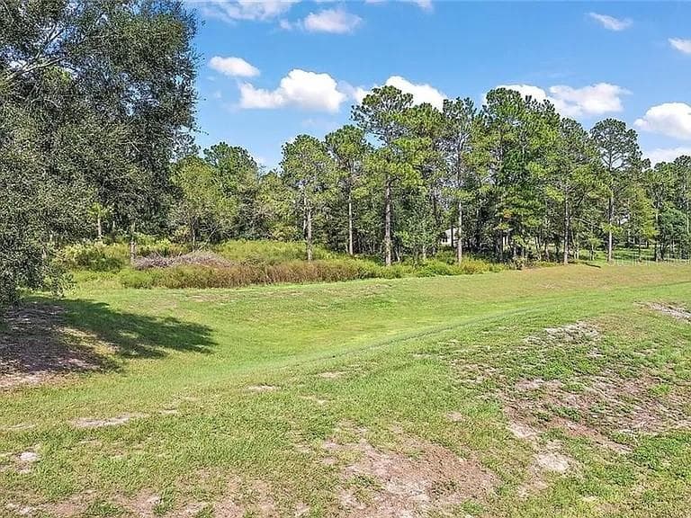 23133 LAKE SENECA ROAD EUSTIS, FL 32736