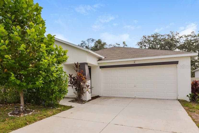 10262 STRAWBERRY TETRA DRIVE RIVERVIEW, FL 33578
