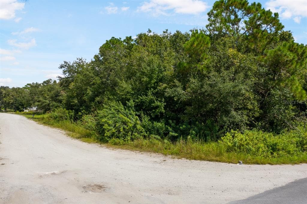 0 WOODRIDGE DRIVE POLK CITY, FL 33868