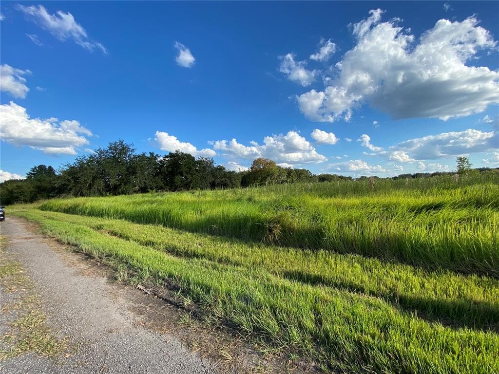 BRANDING IRON TRAIL PLANT CITY, FL 33565