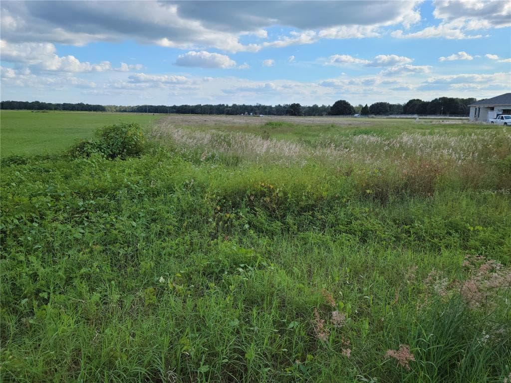 3031 ENGLISH ROAD PLANT CITY, FL 33567