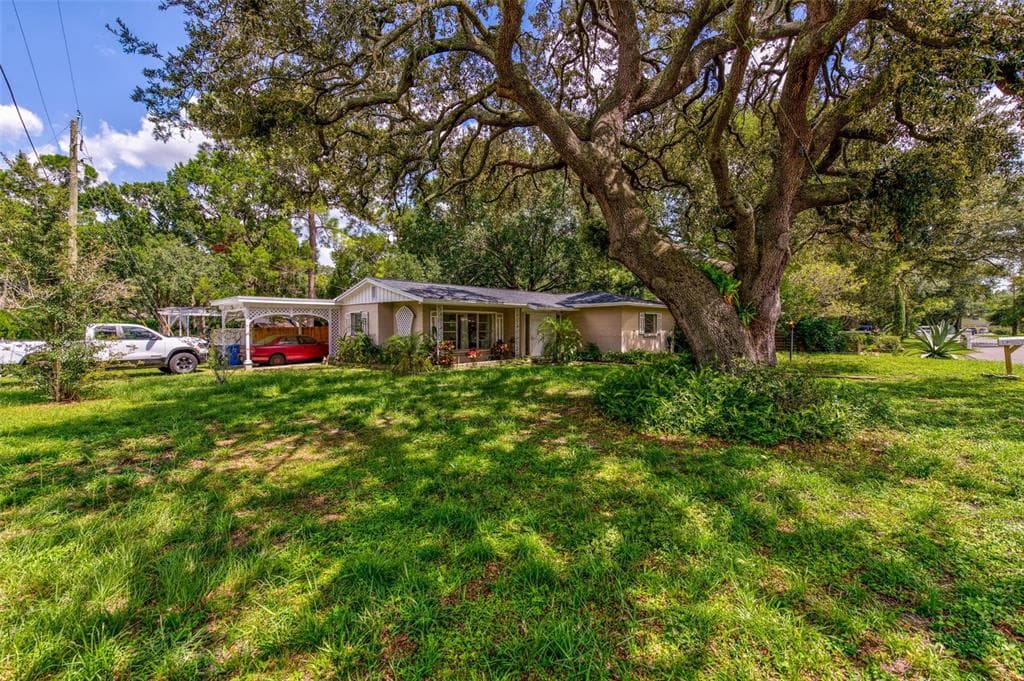 11821 VERA AVENUE TAMPA, FL 33618