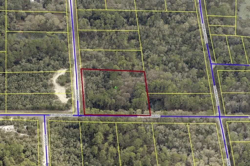 0 RICHARDSON BOULEVARD WEBSTER, FL 33597