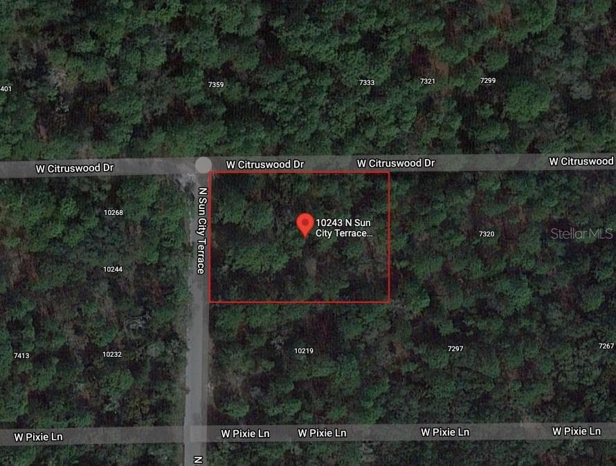 10243 N SUN CITY TERRACE DUNNELLON, FL 34433