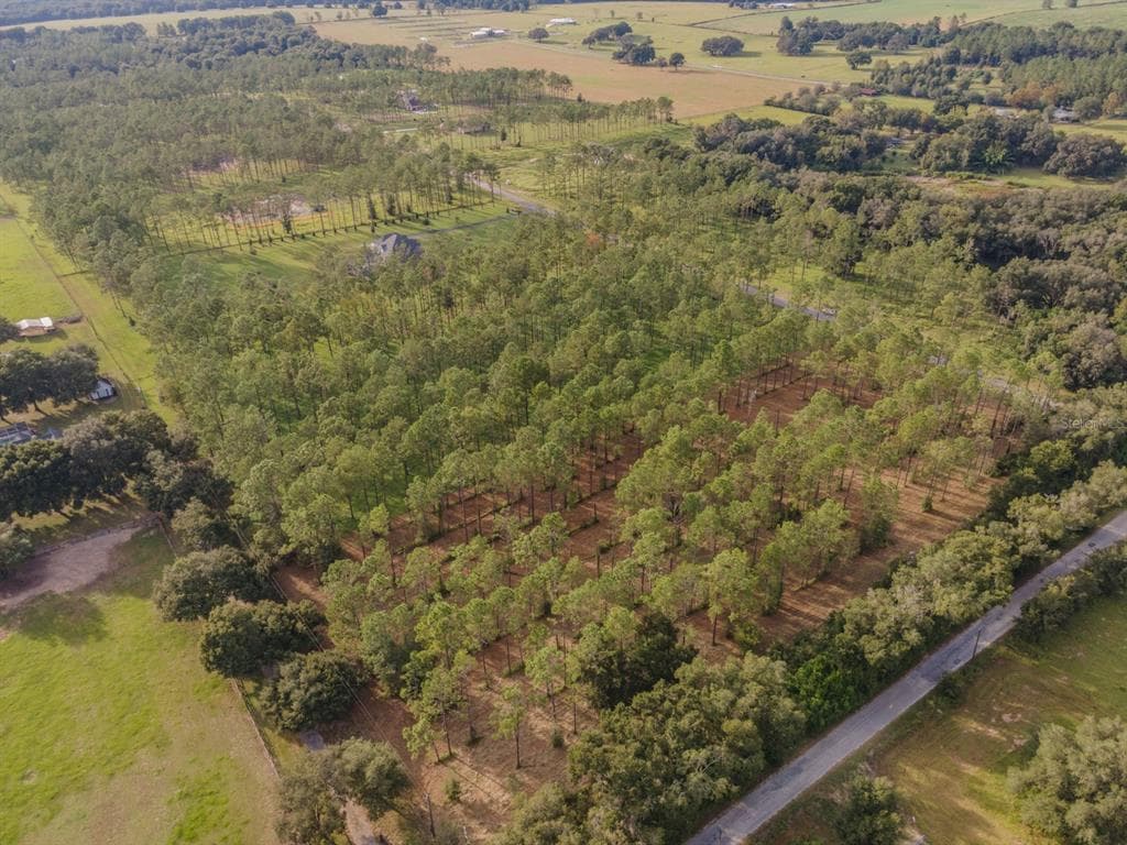 35970 PONY POND ROAD DADE CITY, FL 33523