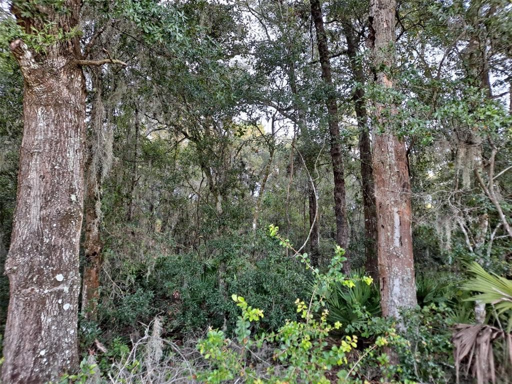 SW 152ND PLACE DUNNELLON, FL 34432