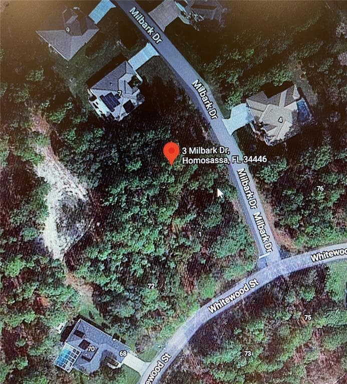 3 MILBARK DRIVE HOMOSASSA, FL 34446